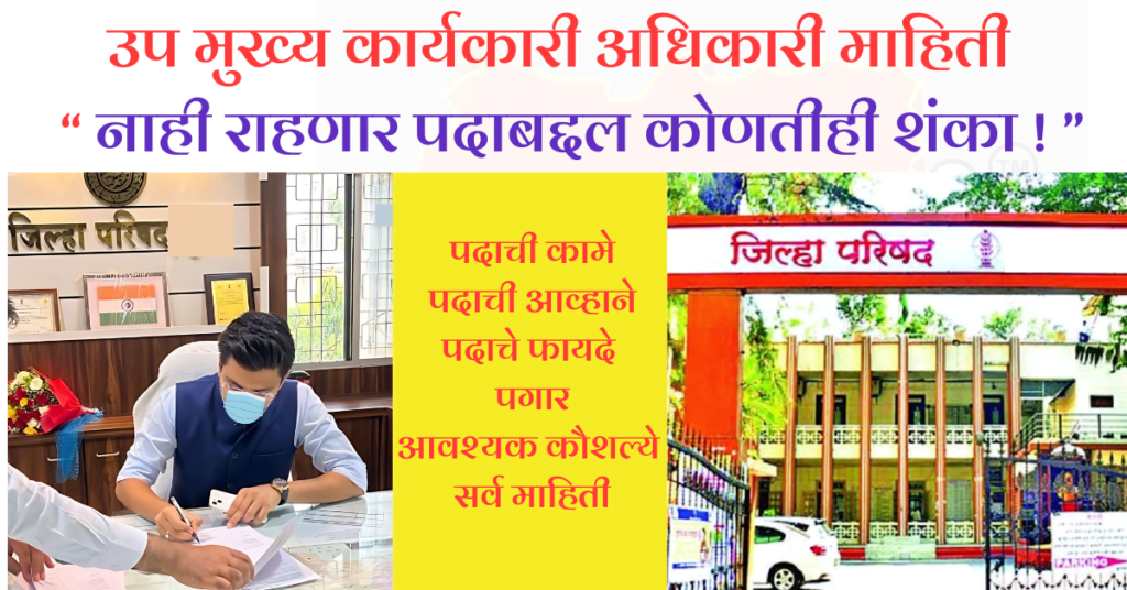 उप मुख्य कार्यकारी अधिकारी माहिती