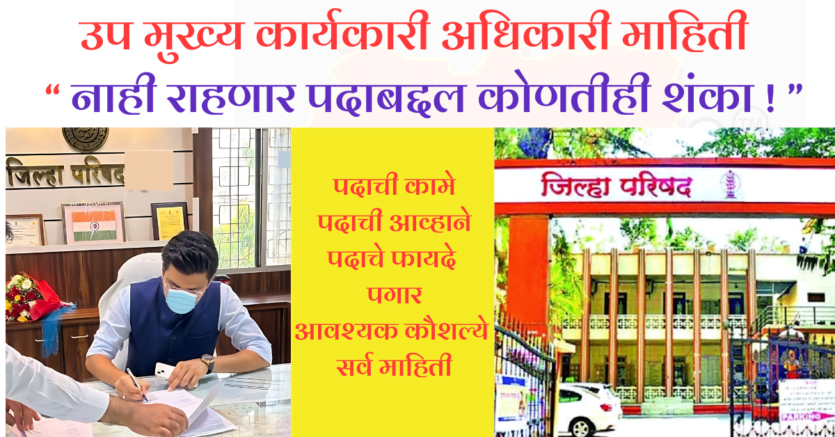उप मुख्य कार्यकारी अधिकारी माहिती